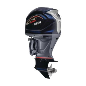 V MAX SHO 250 hk